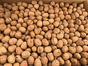 Walnuts Diamond 25kg <Natural Washed/Bleached>    Also 10, 5 & 1 Kilo      
